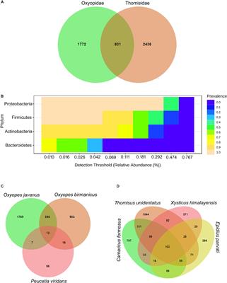 Diversity and Structure of Bacterial Communities in the Gut of Spider: Thomisidae and Oxyopidae